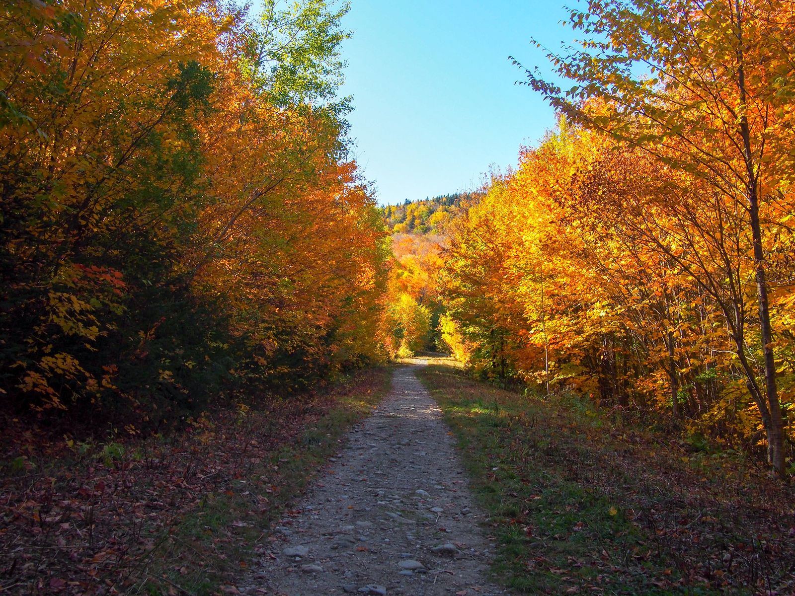 Hiking photo from 2019-10-11